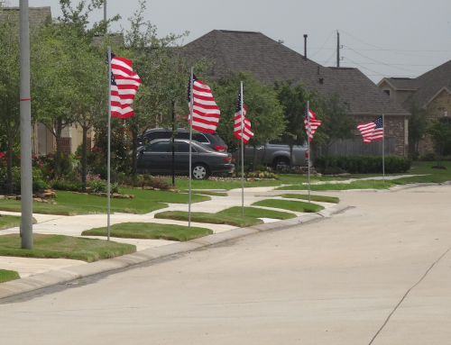 Street Lined with American Flags